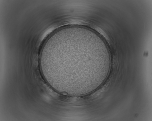 X0000092221067200710051153