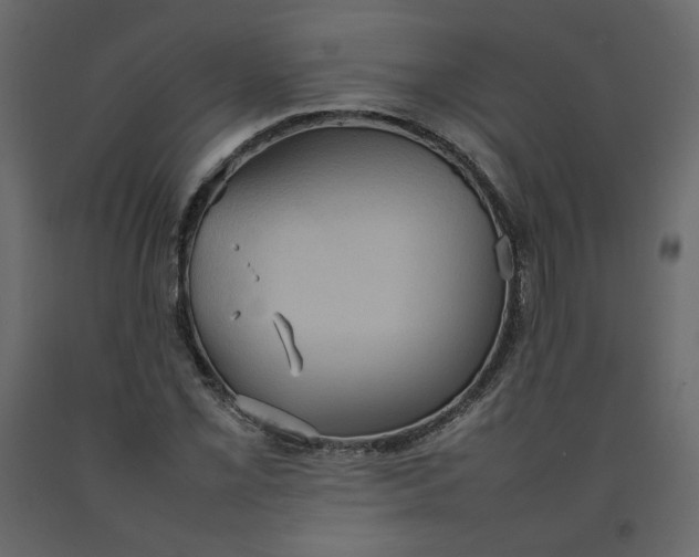 X0000092221069200710051153