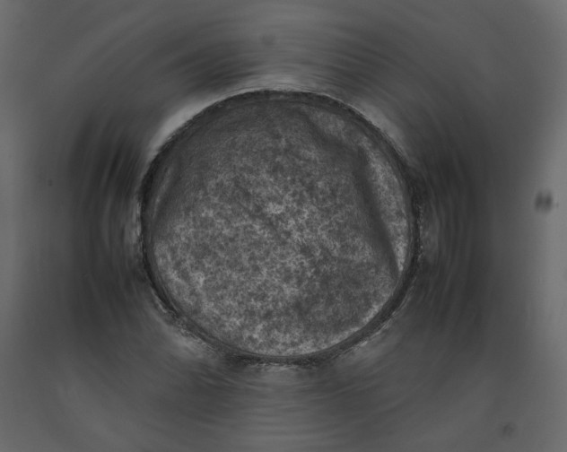 X0000092221070200710051153