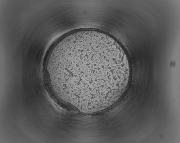 X0000092221072200710051153