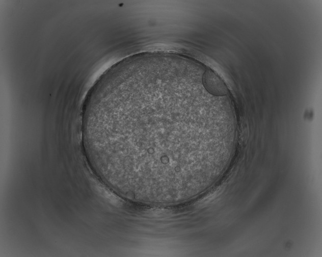 X0000092221075200710051153