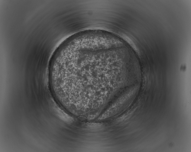 X0000092221076200710051153
