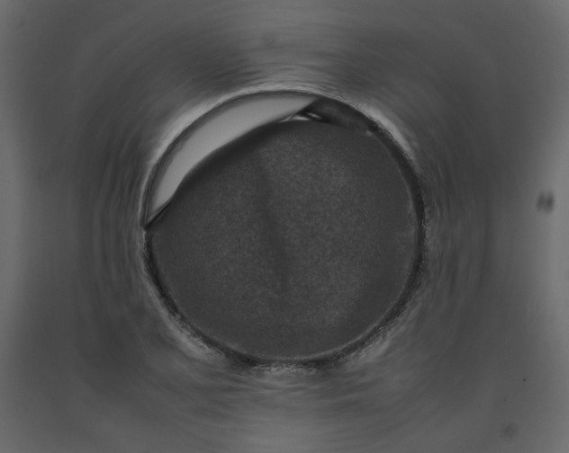 X0000092221077200710051153