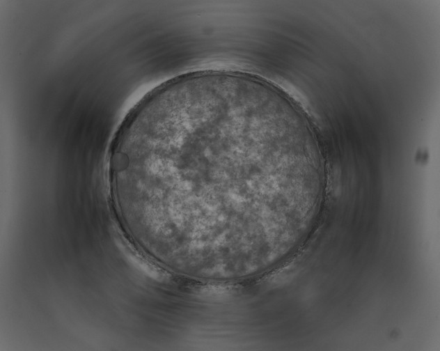 X0000092221078200710051153