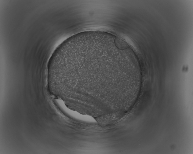 X0000092221079200710051153