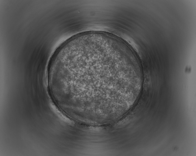 X0000092221080200710051153
