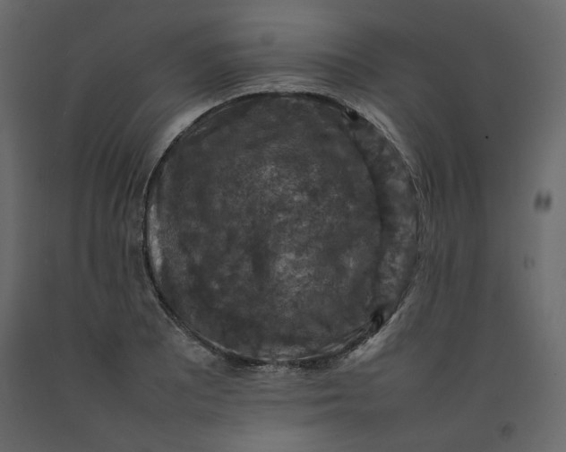 X0000092221081200710051153