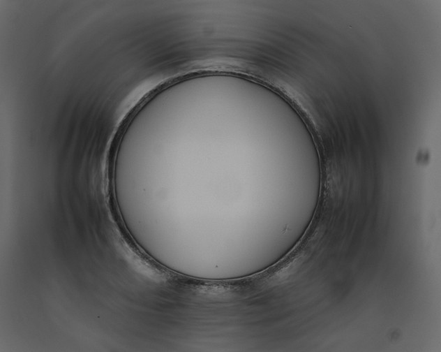 X0000092221082200710051153
