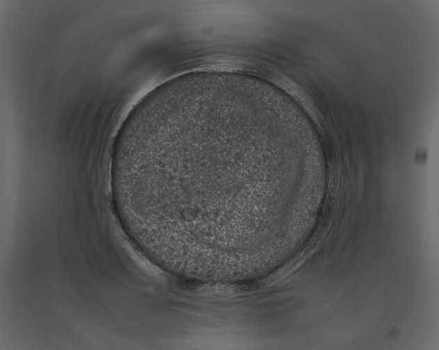 X0000092221083200710051153