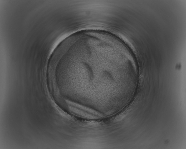 X0000092221085200710051153