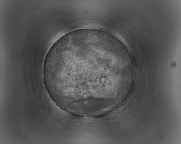 X0000092221087200710051153