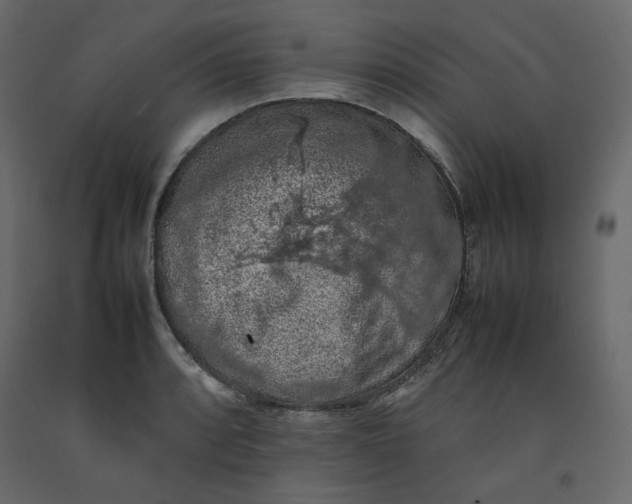 X0000092221088200710051153