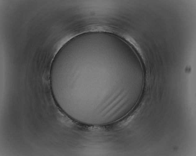 X0000092221089200710051153