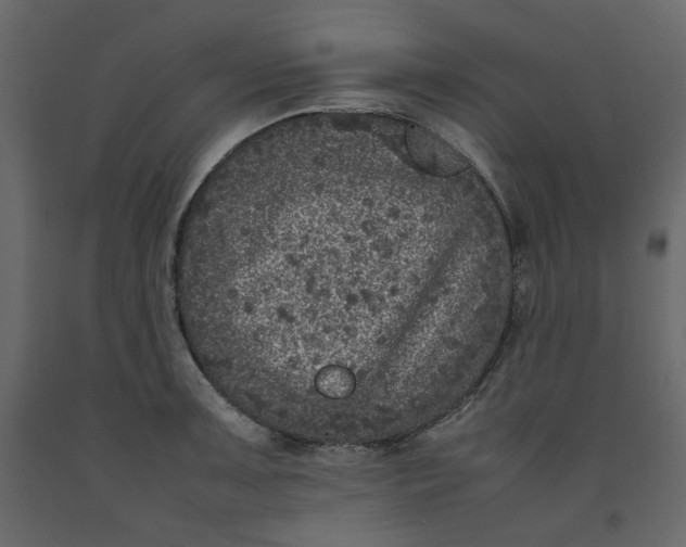 X0000092221091200710051153