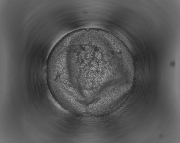 X0000092221092200710051153