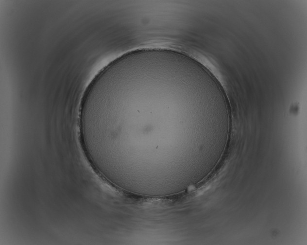 X0000092221093200710051153