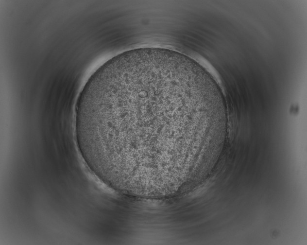 X0000092221096200710051153