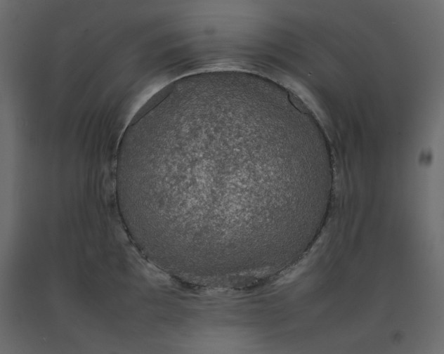 X0000092221097200710051153