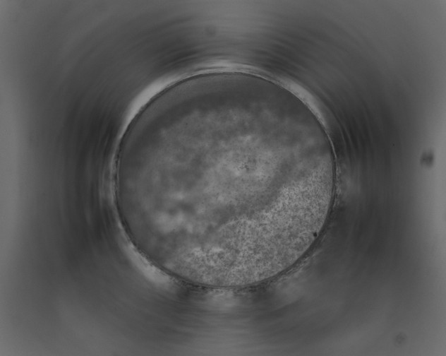 X0000092221098200710051153