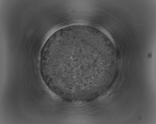 X0000092221099200710051153