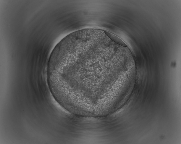X0000092221100200710051153