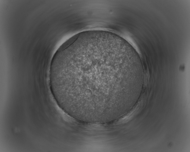 X0000092221101200710051153