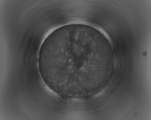 X0000092221102200710051153