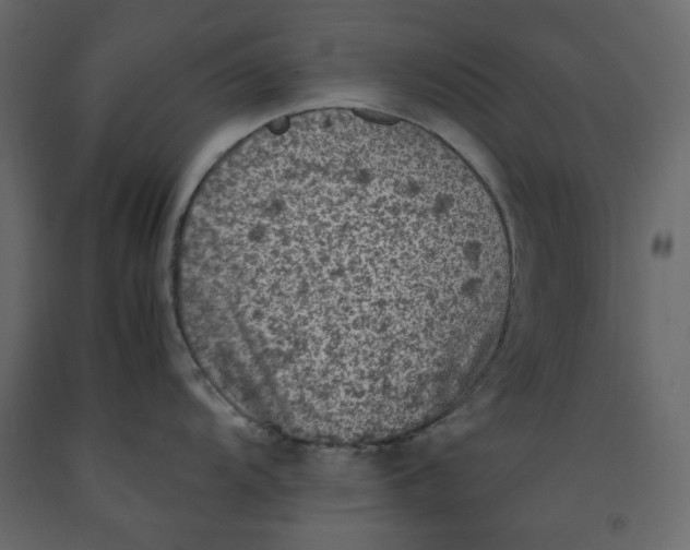 X0000092221104200710051153