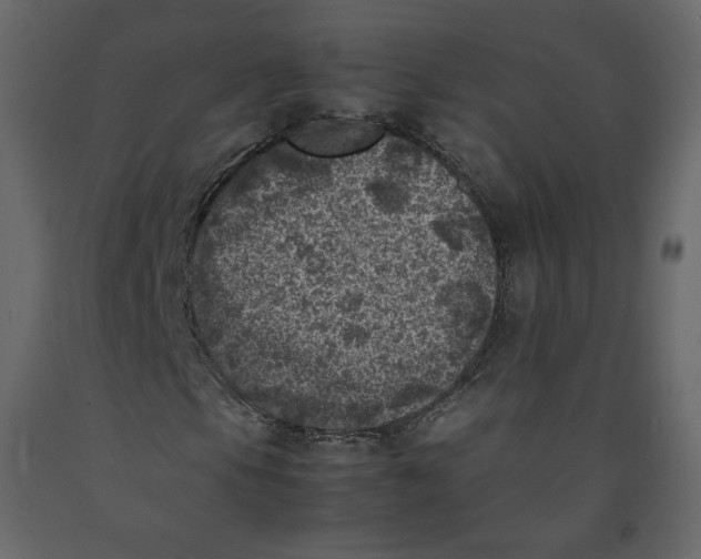 X0000092221105200710051152
