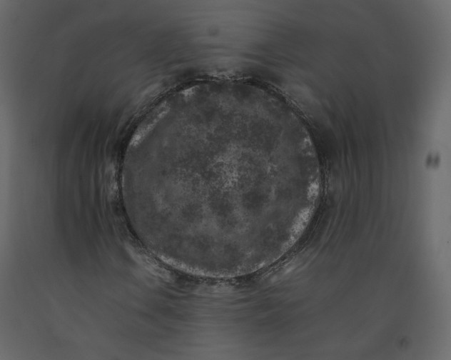 X0000092221106200710051152
