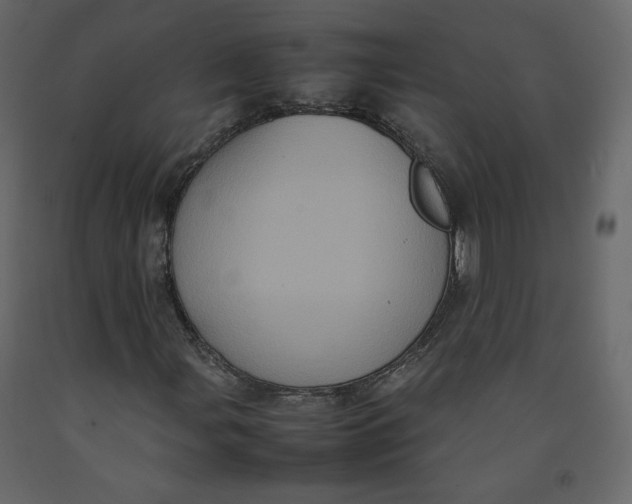 X0000092221107200710051152