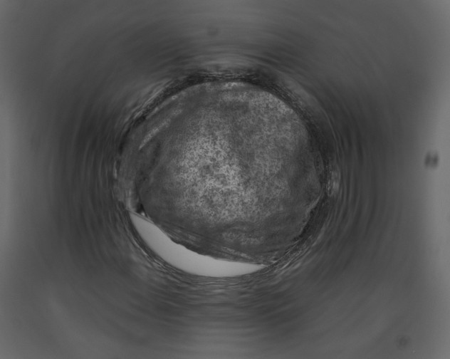 X0000092221108200710051152