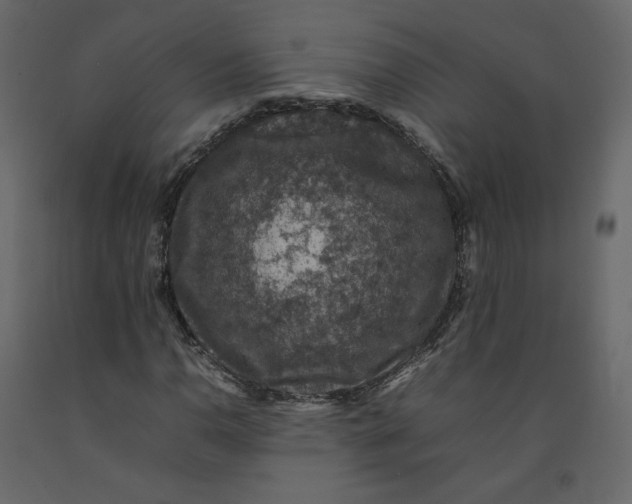 X0000092221110200710051152