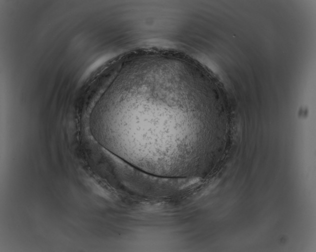 X0000092221112200710051152
