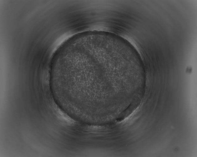 X0000092221115200710051152