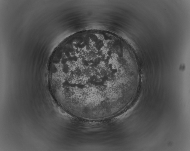 X0000092221117200710051152