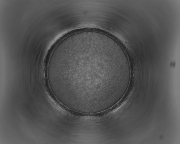 X0000092221118200710051152