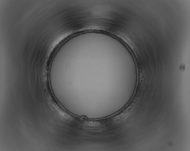 X0000092221119200710051152