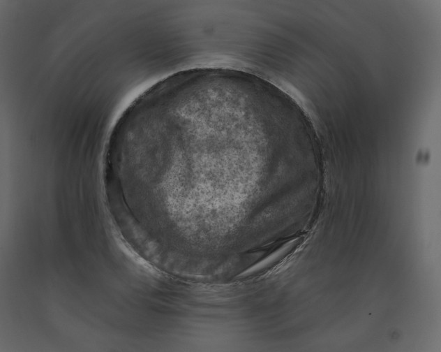 X0000092221120200710051152