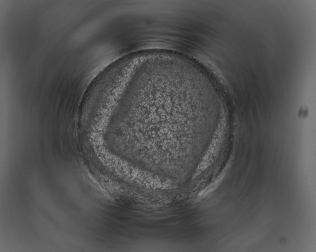 X0000092221121200710051152