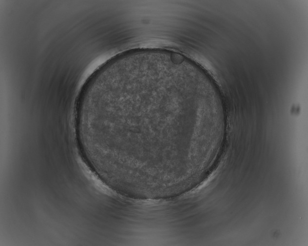 X0000092221122200710051152