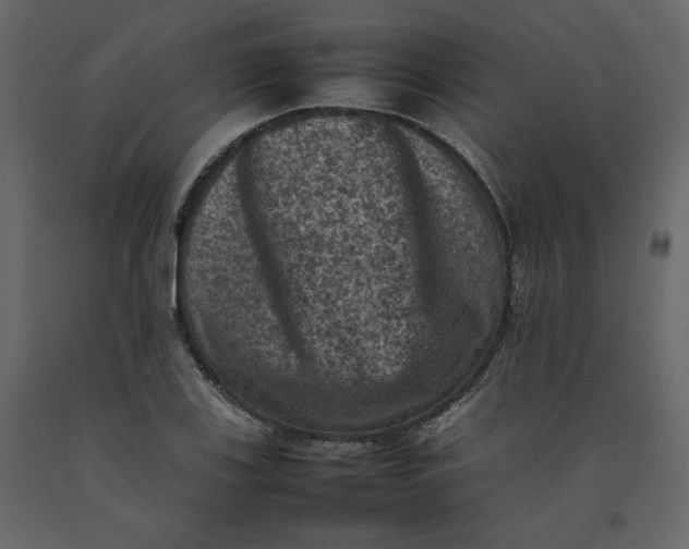 X0000092221123200710051152