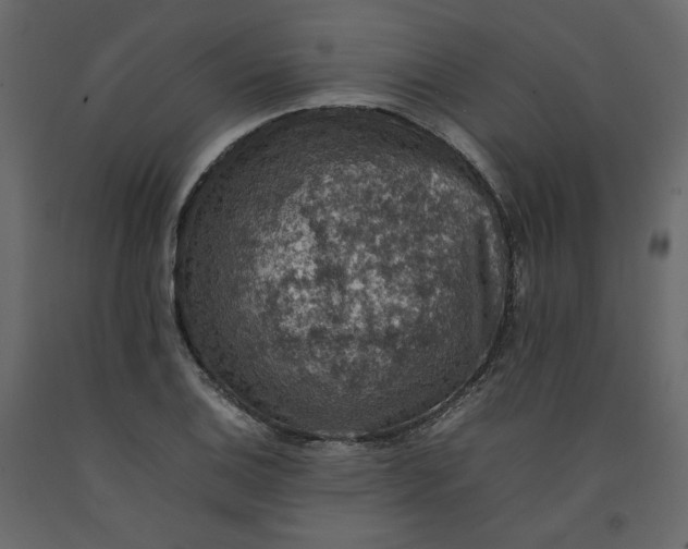 X0000092221124200710051152
