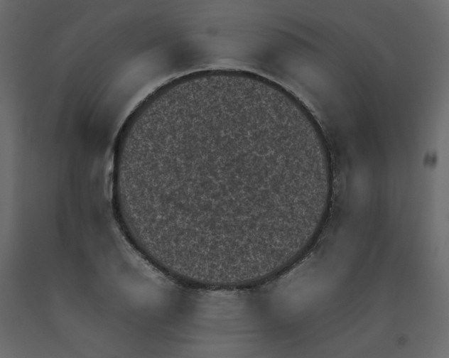 X0000092221126200710051152