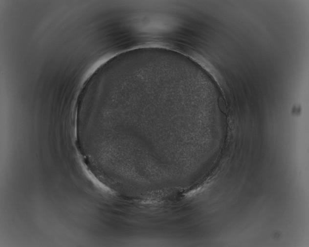 X0000092221127200710051152