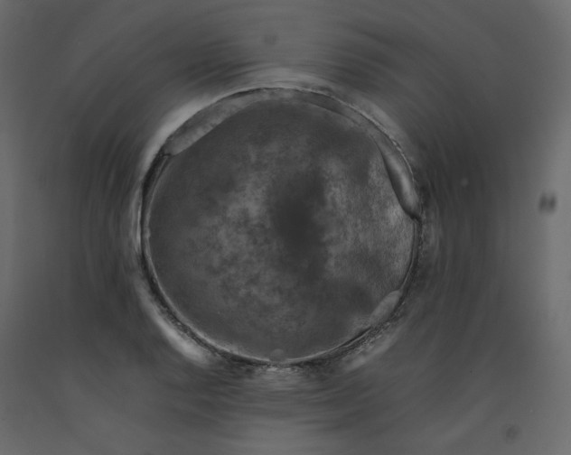 X0000092221128200710051152