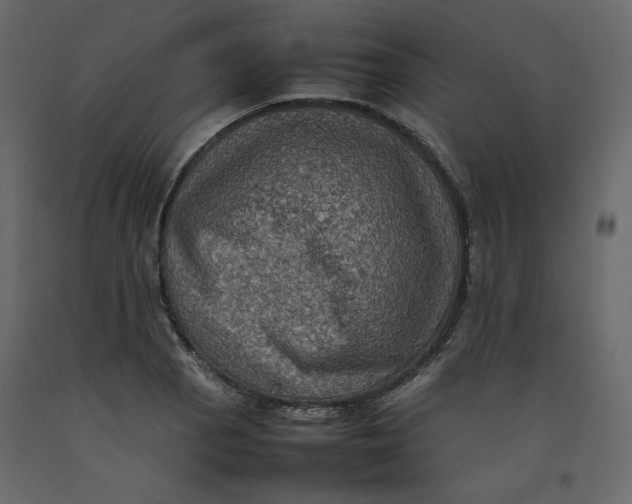 X0000092221129200710051152