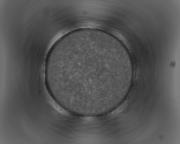 X0000092221130200710051152