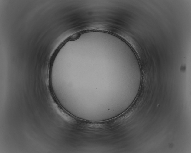 X0000092221131200710051152
