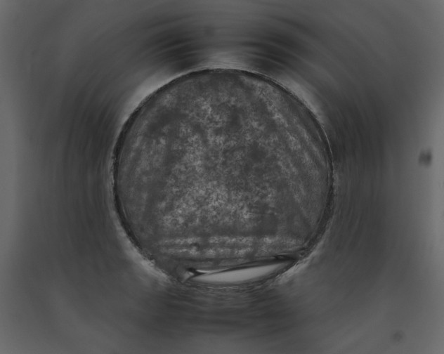 X0000092221133200710051152